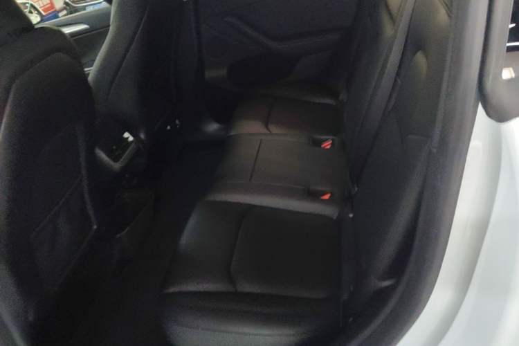 Used Tesla Model Y 2024 Rear-Wheel-Drive Version Left Rear Seat
