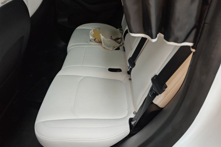 Used Tesla Model Y 2024 Performance High-Performance Edition Left Rear Seat