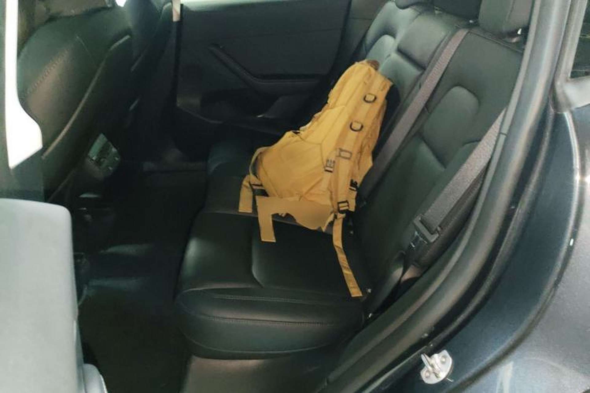 Used Tesla Model Y 2024 Rear-Wheel-Drive Version Left Rear Seat