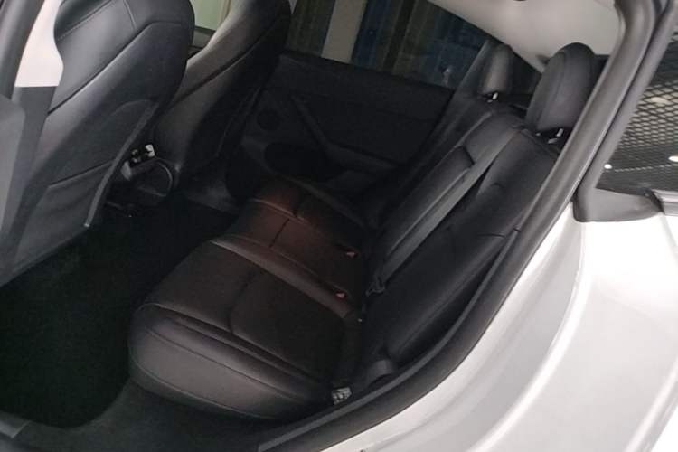 Used Tesla Model Y 2024 Long-Range All-Wheel-Drive Version Left Rear Seat