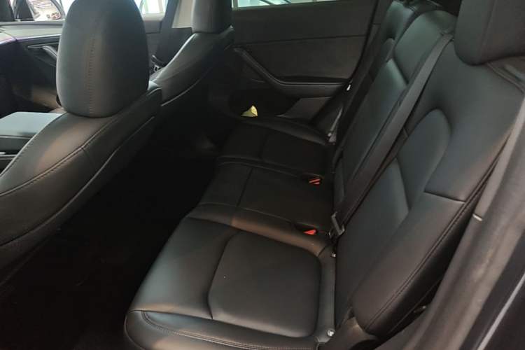 Used Tesla Model Y 2024 Rear-Wheel-Drive Version Left Rear Seat