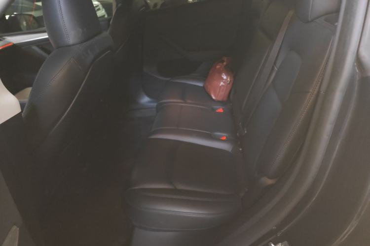 Used Tesla Model Y 2024 Rear-Wheel-Drive Version Left Rear Seat