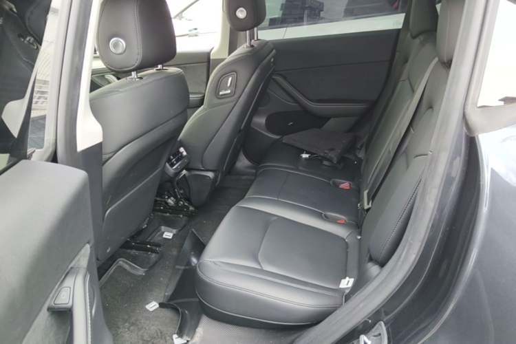 Used Tesla Model Y 2024 Rear-Wheel-Drive Version Left Rear Seat