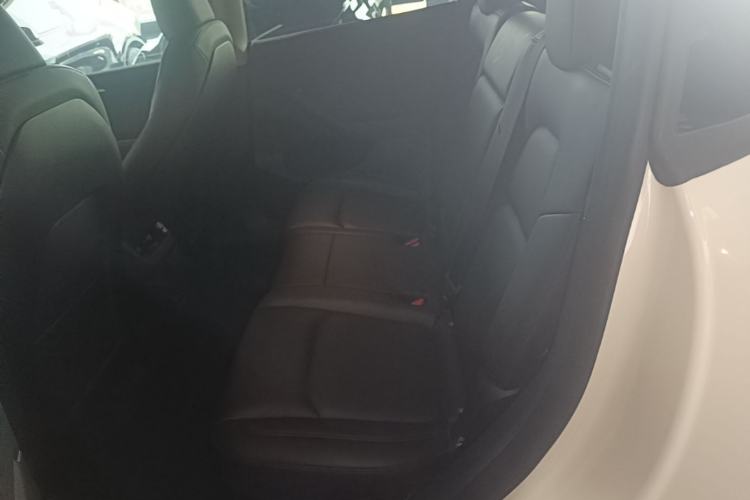 Used Tesla Model Y 2024 Rear-Wheel-Drive Version Left Rear Seat