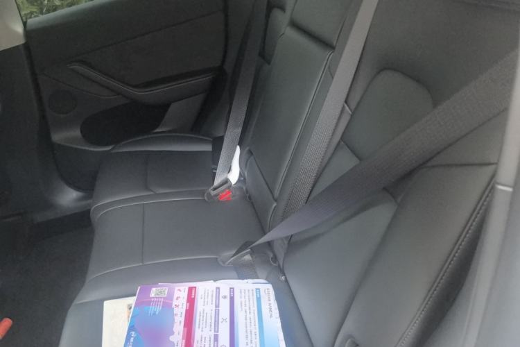 Used Tesla Model Y 2024 Rear-Wheel-Drive Version Left Rear Seat