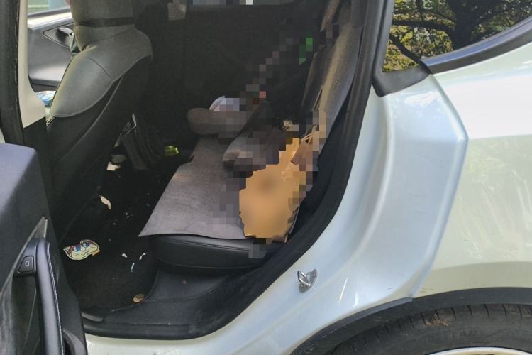 Used Tesla Model Y 2024 Rear-Wheel-Drive Version Left Rear Seat