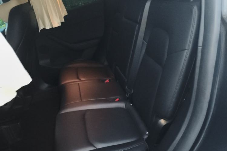 Used Tesla Model Y 2024 Rear-Wheel-Drive Version Left Rear Seat
