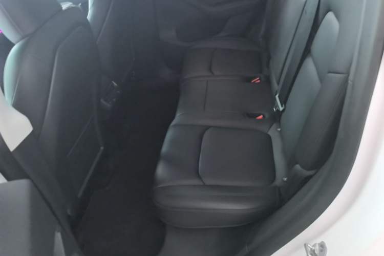 Used Tesla Model Y 2024 Long-Range All-Wheel-Drive Version Left Rear Seat