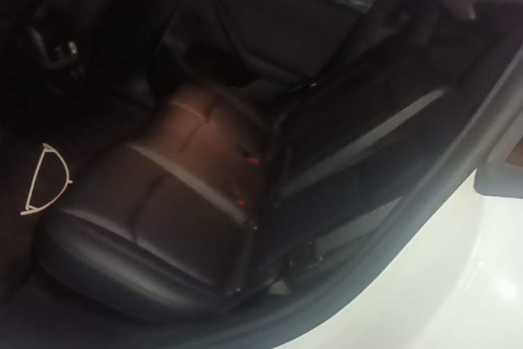 Used Tesla Model Y 2024 Rear-Wheel-Drive Version Left Rear Seat