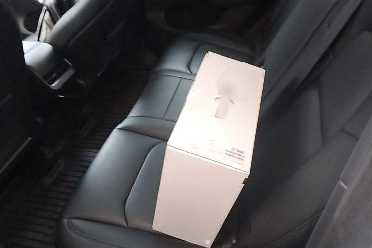 Used Tesla Model Y 2024 Rear-Wheel-Drive Version Left Rear Seat