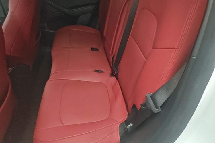 Used Tesla Model Y 2024 Rear-Wheel-Drive Version Left Rear Seat