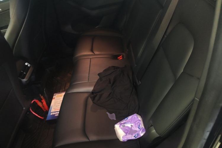 Used Tesla Model Y 2024 Rear-Wheel-Drive Version Left Rear Seat