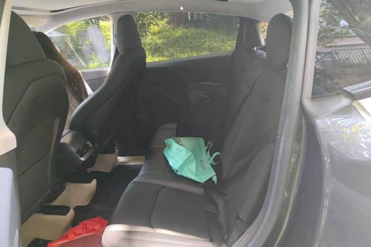 Used Tesla Model Y 2024 Rear-Wheel-Drive Version Left Rear Seat
