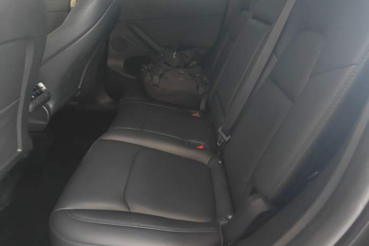 Used Tesla Model Y 2024 Rear-Wheel-Drive Version Left Rear Seat