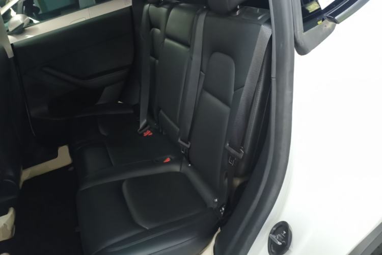 Used Tesla Model Y 2024 Long-Range All-Wheel-Drive Version Left Rear Seat