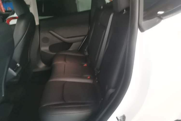 Used Tesla Model Y 2024 Rear-Wheel-Drive Version Left Rear Seat