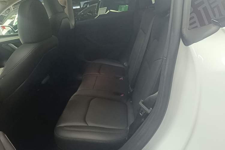 Used Tesla Model Y 2024 Rear-Wheel-Drive Version Left Rear Seat