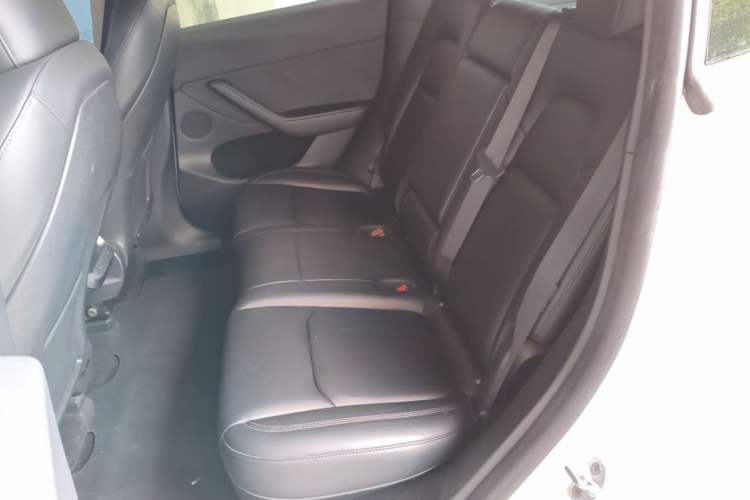 Used Tesla Model Y 2024 Rear-Wheel-Drive Version Left Rear Seat