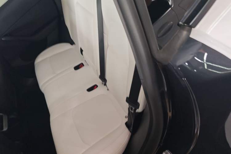Used Tesla Model Y 2024 Rear-Wheel-Drive Version Left Rear Seat