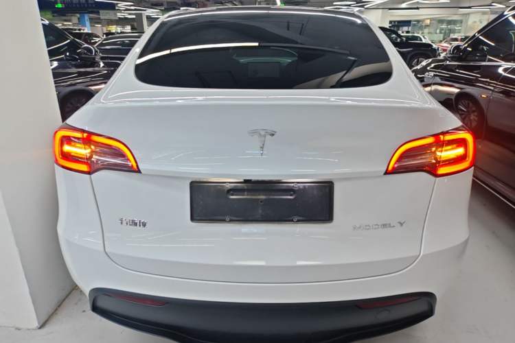 Used Tesla Model Y 2024 Rear-Wheel-Drive Version Rear