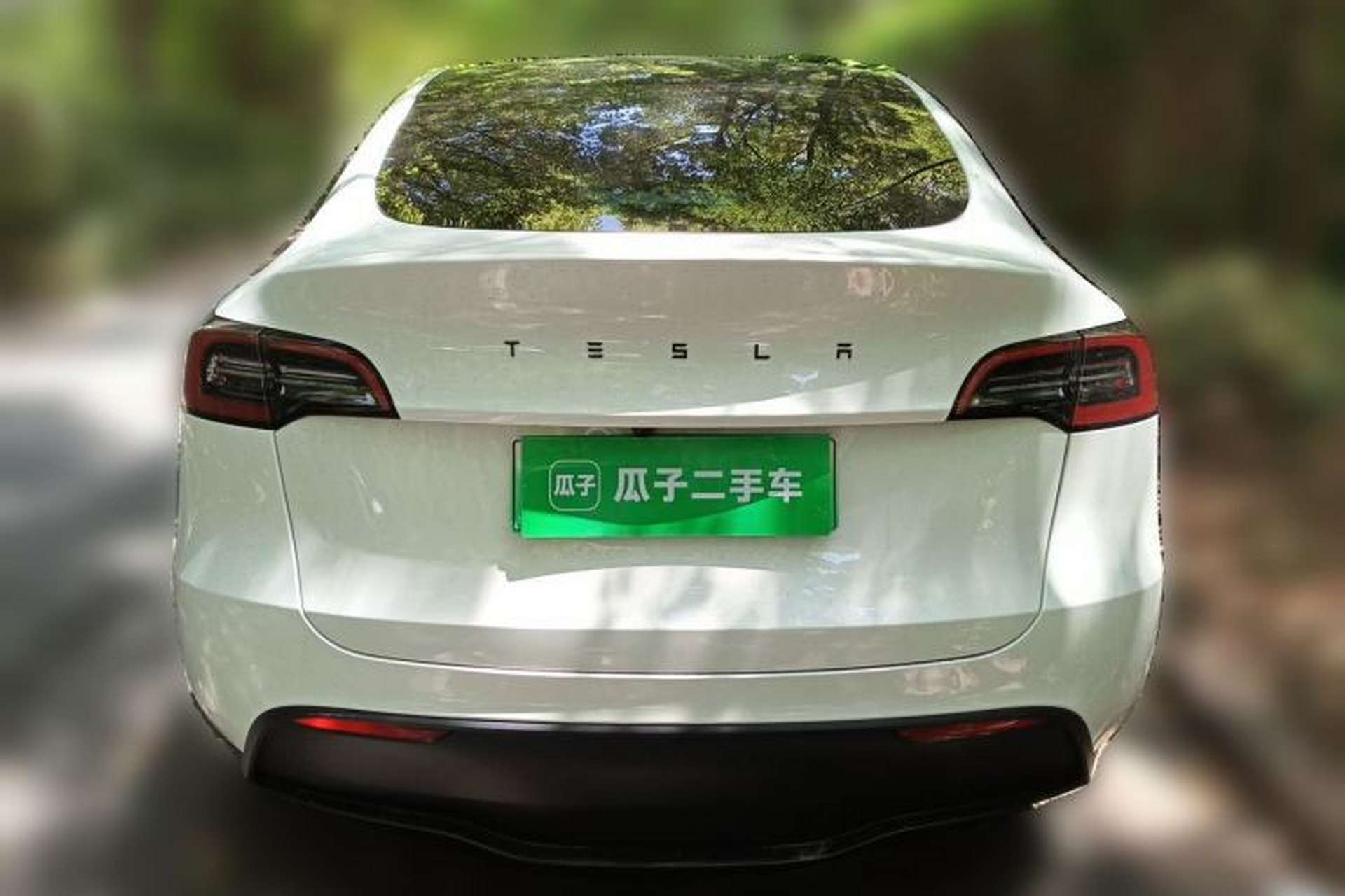 Used Tesla Model Y 2024 Rear-Wheel-Drive Version Rear