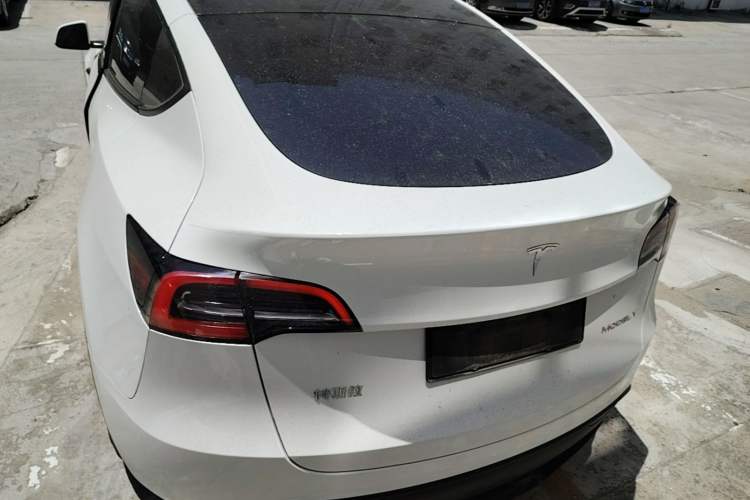Used Tesla Model Y 2024 Rear-Wheel-Drive Version Rear