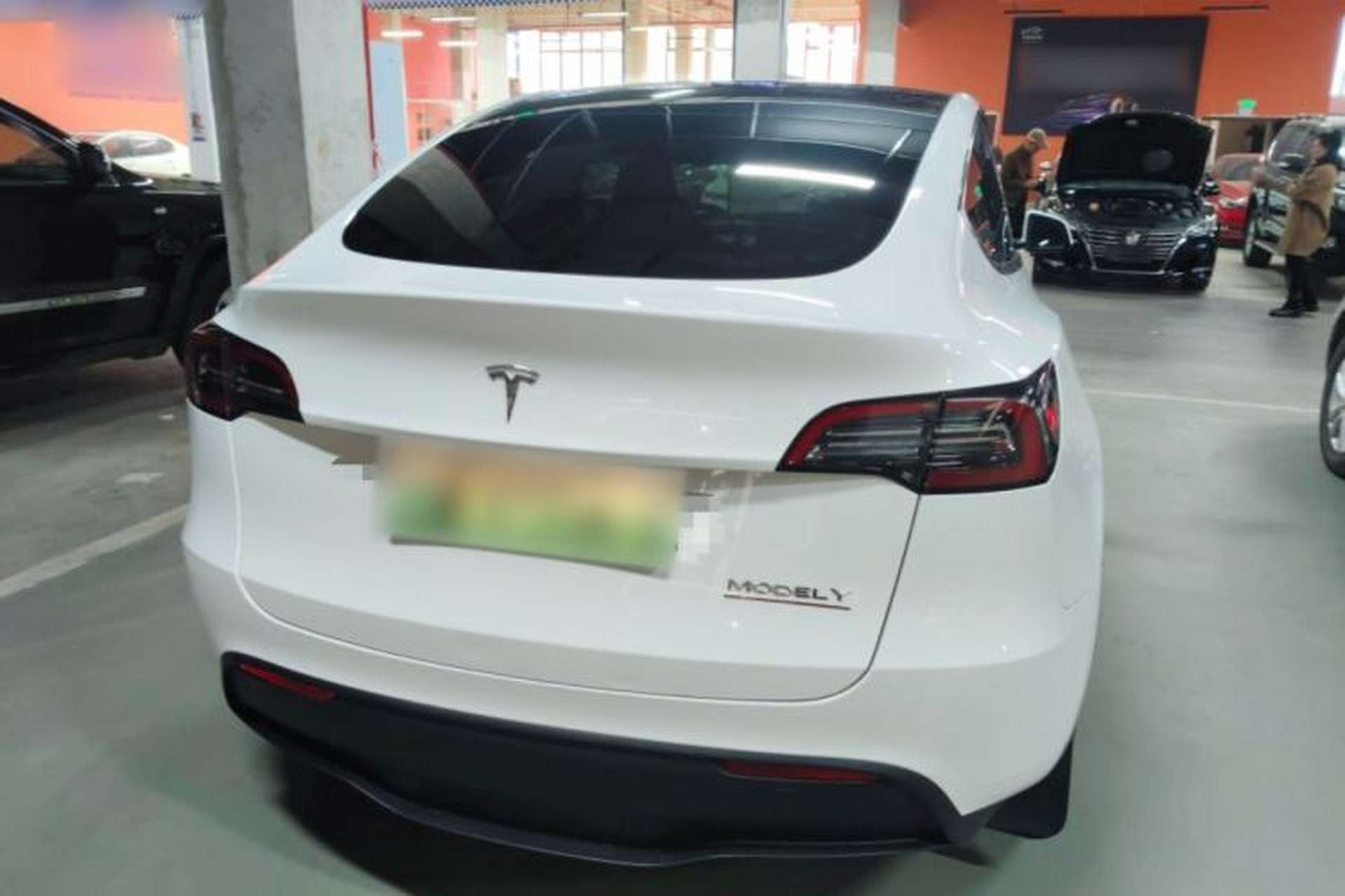 Used Tesla Model Y 2024 Rear-Wheel-Drive Version Rear