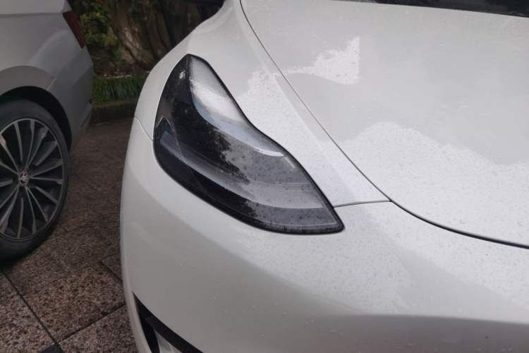 Used Tesla Model Y 2024 Rear-Wheel-Drive Version Right Front Headlight