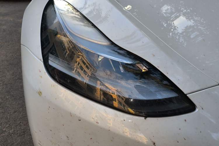 Used Tesla Model Y 2024 Rear-Wheel-Drive Version Right Front Headlight