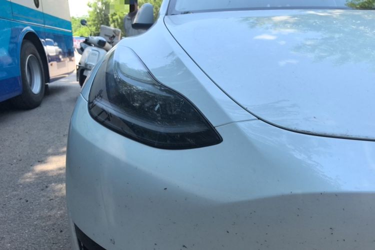 Used Tesla Model Y 2024 Rear-Wheel-Drive Version Right Front Headlight