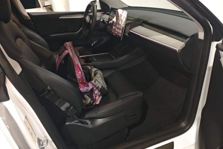 Used Tesla Model Y 2024 Rear-Wheel-Drive Version Right Front Seat