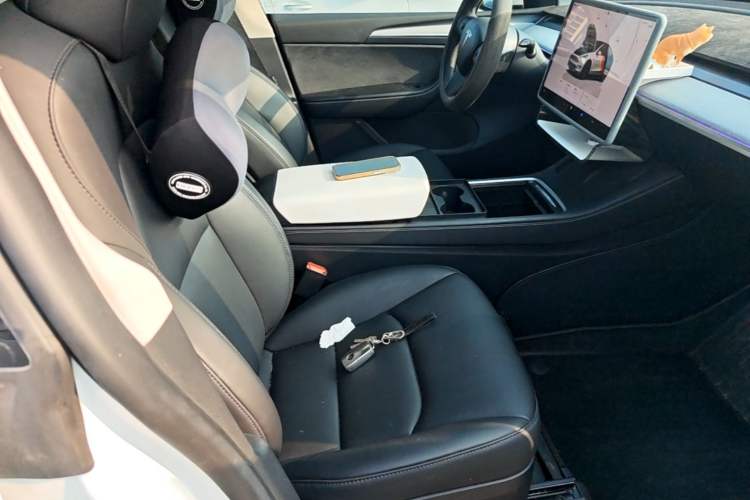 Used Tesla Model Y 2024 Rear-Wheel-Drive Version Right Front Seat