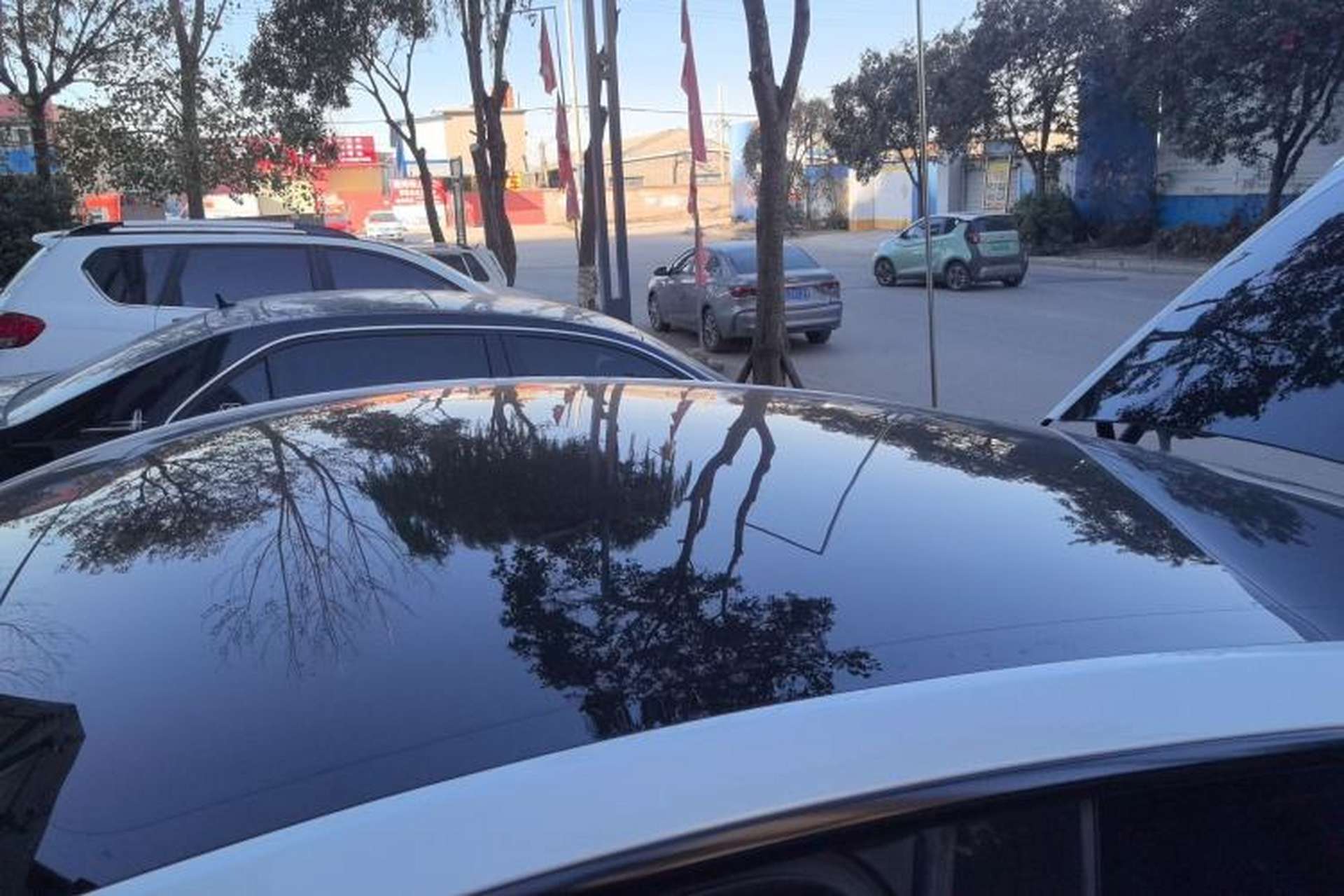 Used Tesla Model Y 2024 Rear-Wheel-Drive Version Roof