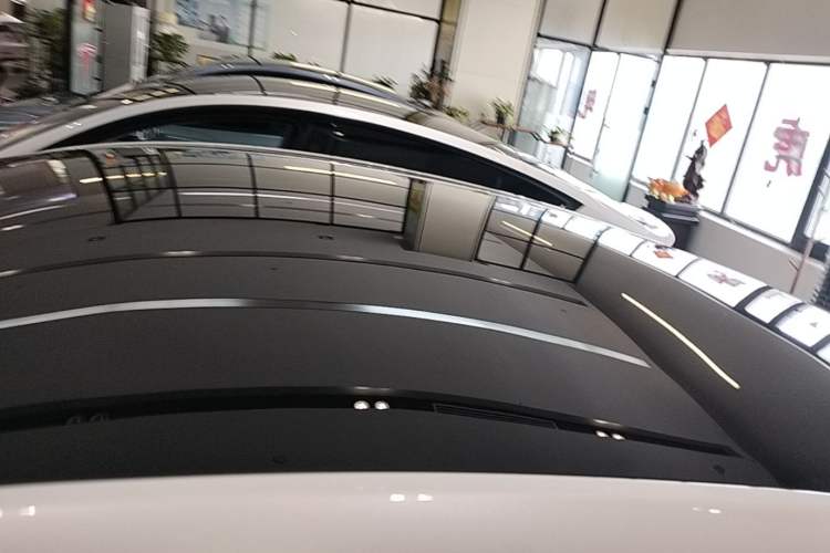 Used Tesla Model Y 2024 Rear-Wheel-Drive Version Roof