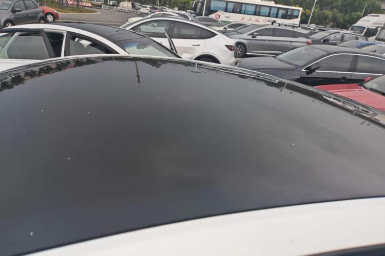 Used Tesla Model Y 2024 Rear-Wheel-Drive Version Roof