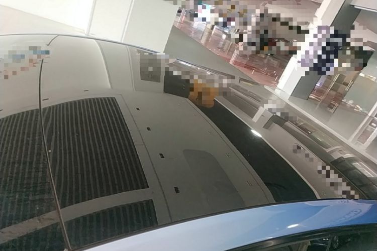 Used Tesla Model Y 2024 Rear-Wheel-Drive Version Roof