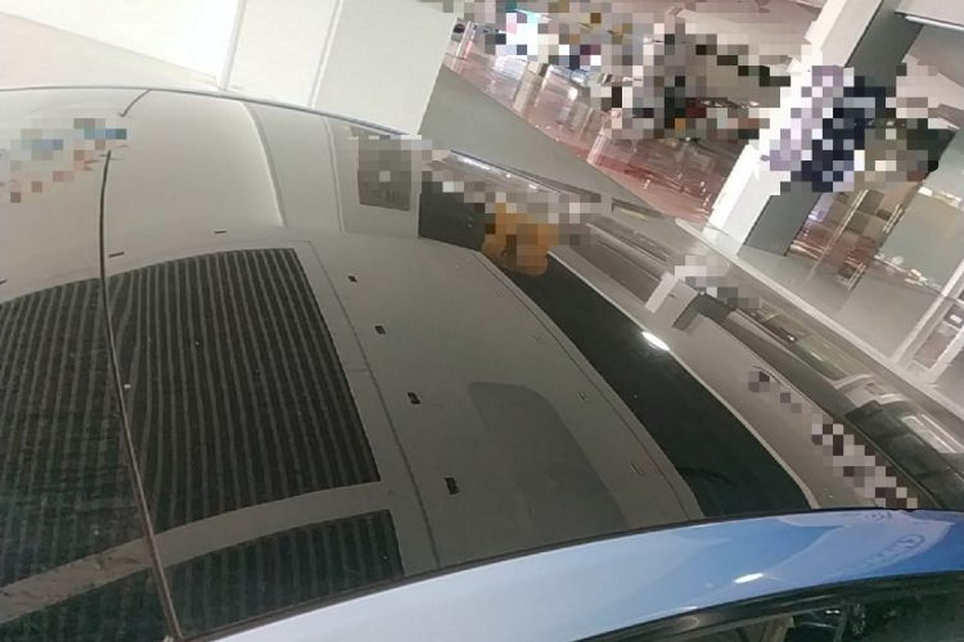 Used Tesla Model Y 2024 Rear-Wheel-Drive Version Roof