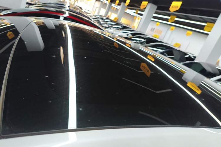 Used Tesla Model Y 2024 Rear-Wheel-Drive Version Roof