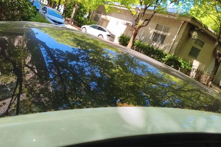 Used Tesla Model Y 2024 Rear-Wheel-Drive Version Roof