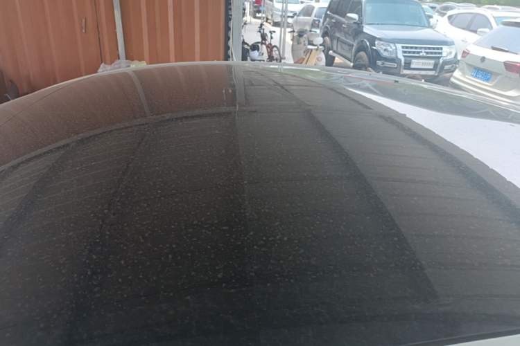 Used Tesla Model Y 2024 Rear-Wheel-Drive Version Roof