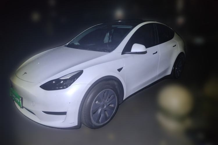 Tesla Model Y 2024 Rear-Wheel-Drive Version