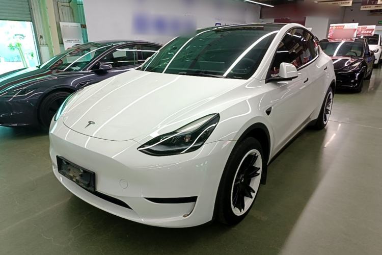 Tesla Model Y 2024 Rear-Wheel-Drive Version