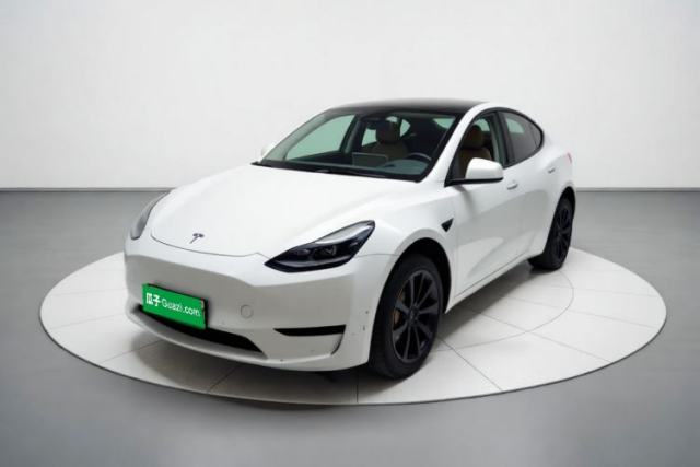 Tesla Model Y 2024 Rear-Wheel-Drive Version de segunda mano