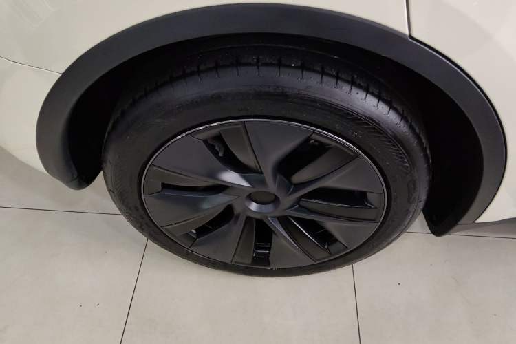 Used Tesla Model Y 2024 Rear-Wheel-Drive Version Exterior 8