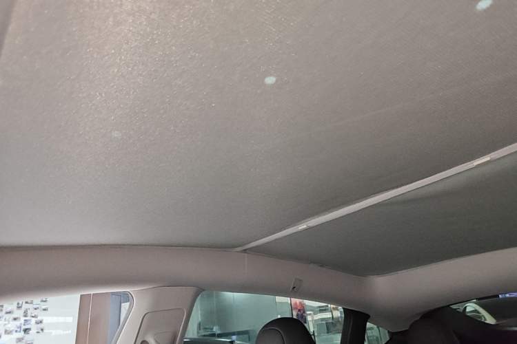 Used Tesla Model Y 2024 Rear-Wheel-Drive Version Headliner