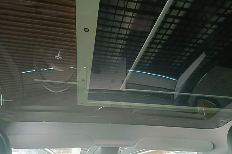 Used Tesla Model Y 2024 Rear-Wheel-Drive Version Headliner