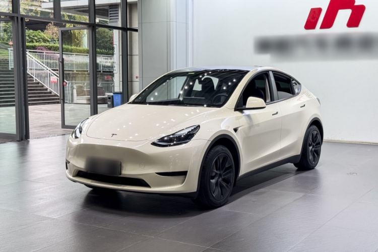 Tesla Model Y 2024 Rear-Wheel-Drive Version