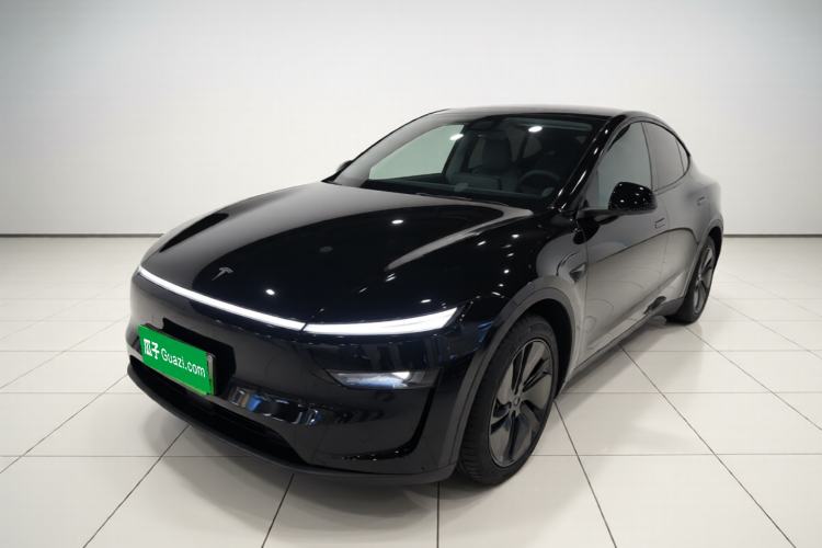 Tesla Model Y 2025 Updated Version Long-Range All-Wheel Drive