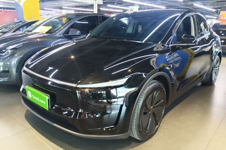 Tesla Model Y 2025 Rear-Wheel-Drive Version