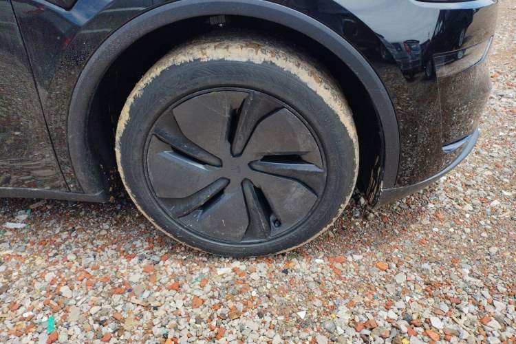 Used Tesla Model Y 2025 Rear-Wheel-Drive Version Exterior 1